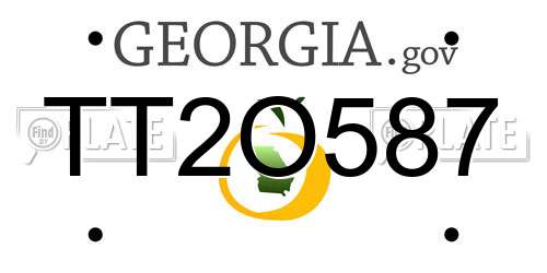 TT2O587 Georgia License Plate