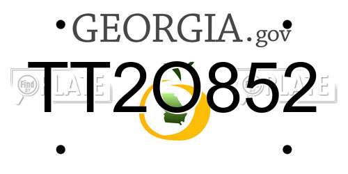 TT2O852 Georgia License Plate