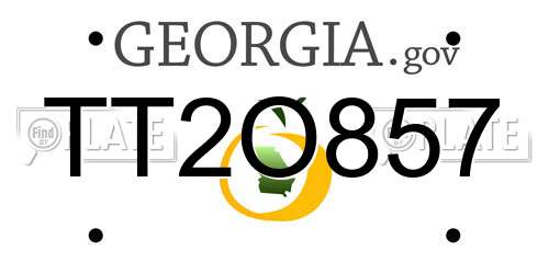 TT2O857 Georgia License Plate