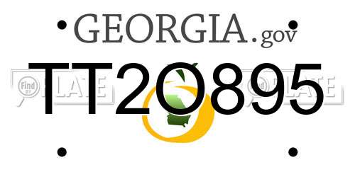 TT2O895 Georgia License Plate