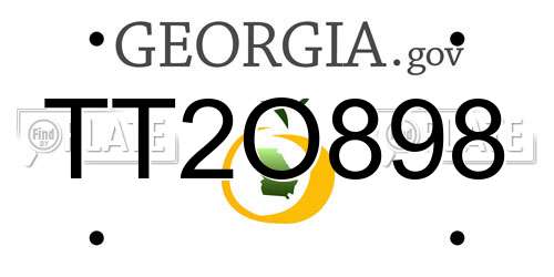 TT2O898 Georgia License Plate