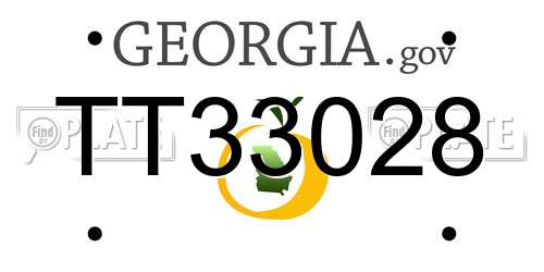 TT33028 Georgia License Plate