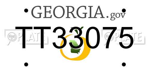 TT33075 Georgia License Plate