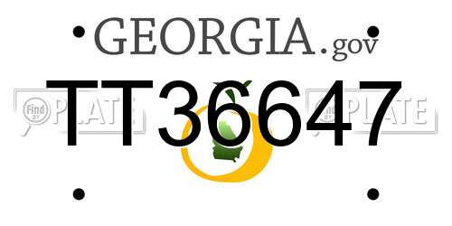 TT36647 Georgia License Plate