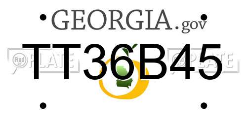 TT36B45 Georgia License Plate