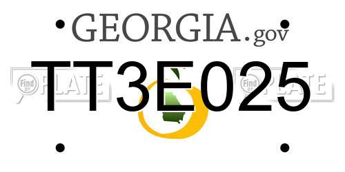 TT3E025 Georgia License Plate