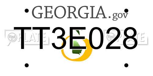 TT3E028 Georgia License Plate