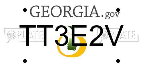 TT3E2V Georgia License Plate