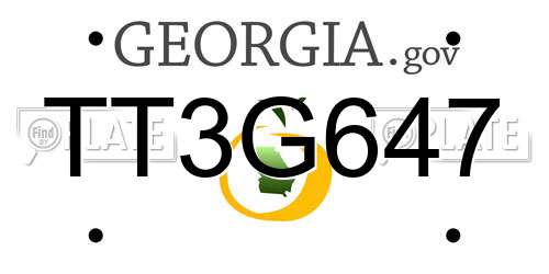 TT3G647 Georgia License Plate