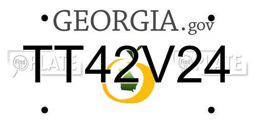 TT42V24 Georgia License Plate