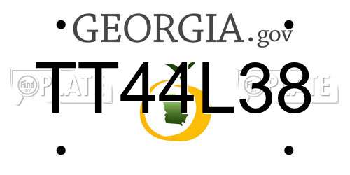 TT44L38 Georgia License Plate