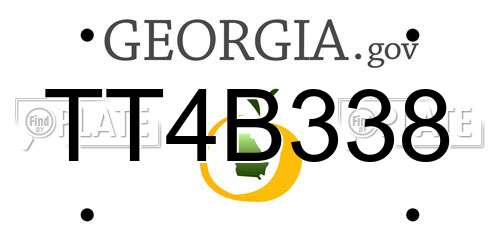 TT4B338 Georgia License Plate