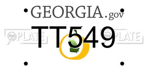 TT549 Georgia License Plate
