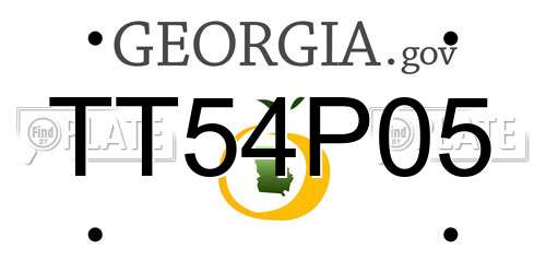 TT54P05 Georgia License Plate