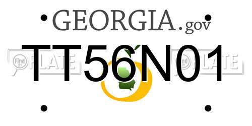 TT56N01 Georgia License Plate