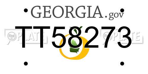 TT58273 Georgia License Plate