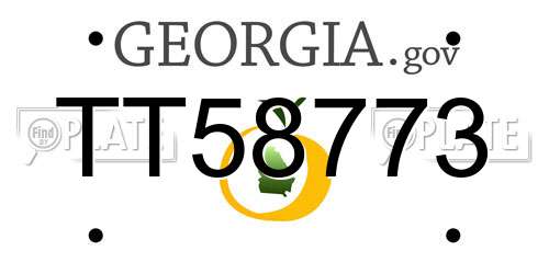 TT58773 Georgia License Plate