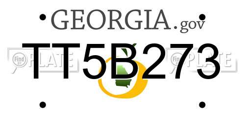TT5B273 Georgia License Plate