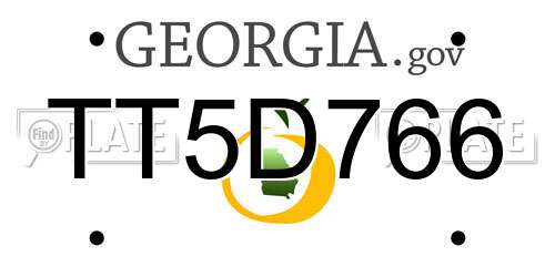 TT5D766 Georgia License Plate