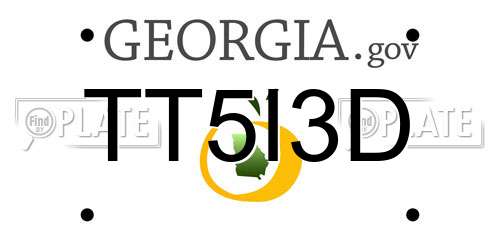 TT5I3D Georgia License Plate