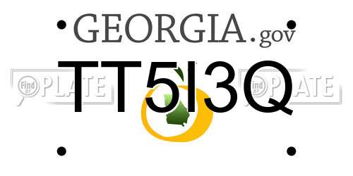 TT5I3Q Georgia License Plate