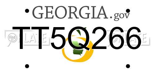 TT5Q266 Georgia License Plate
