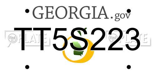 TT5S223 Georgia License Plate