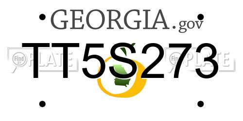 TT5S273 Georgia License Plate