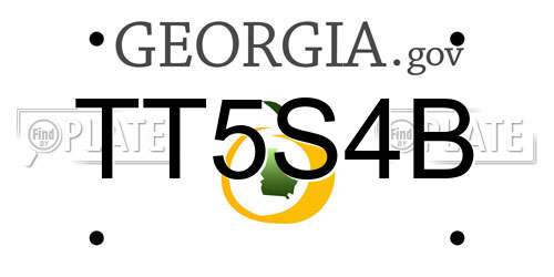 TT5S4B Georgia License Plate