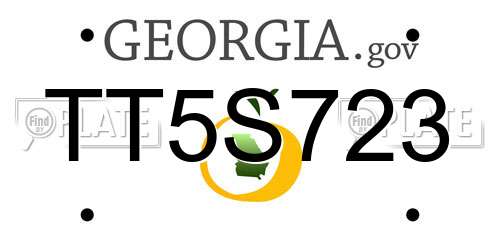 TT5S723 Georgia License Plate