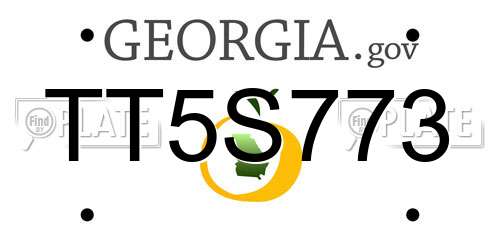 TT5S773 Georgia License Plate