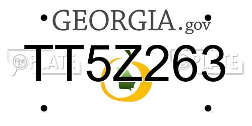 TT5Z263 Georgia License Plate