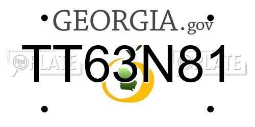 TT63N81 Georgia License Plate