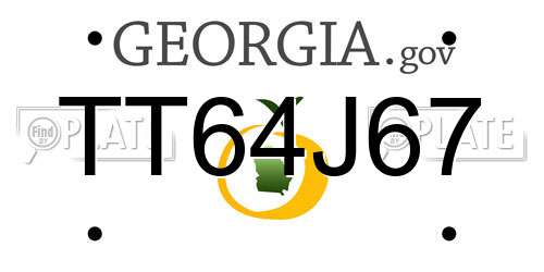 TT64J67 Georgia License Plate