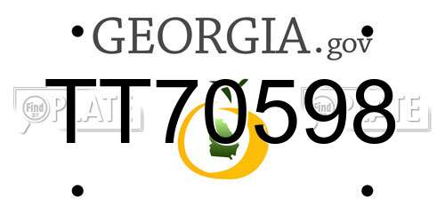 TT70598 Georgia License Plate