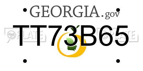 TT73B65 Georgia License Plate