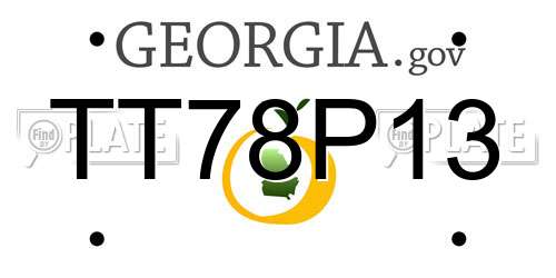 TT78P13 Georgia License Plate