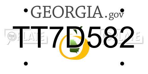 TT7D582 Georgia License Plate