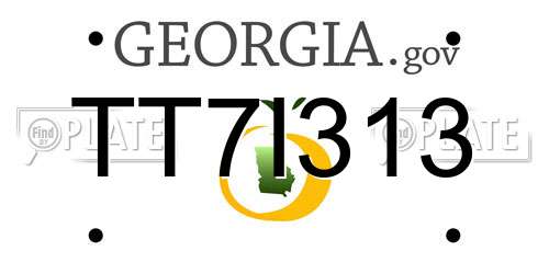TT7I313 Georgia License Plate
