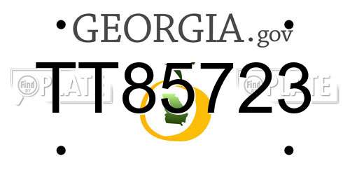 TT85723 Georgia License Plate