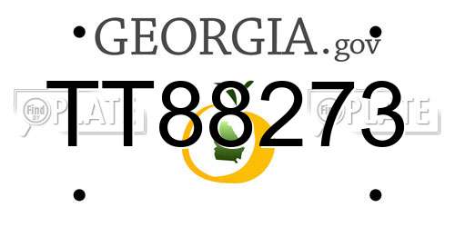 TT88273 Georgia License Plate