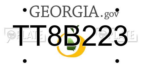 TT8B223 Georgia License Plate