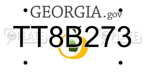 TT8B273 Georgia License Plate