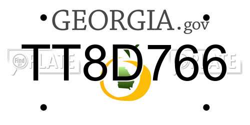 TT8D766 Georgia License Plate