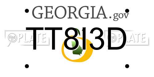 TT8I3D Georgia License Plate