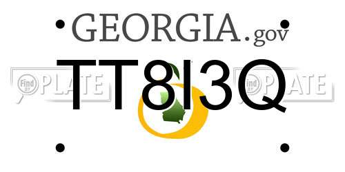 TT8I3Q Georgia License Plate