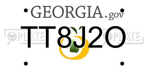 TT8J2O Georgia License Plate