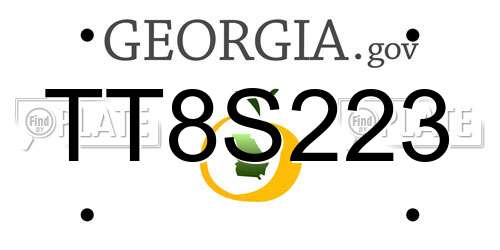 TT8S223 Georgia License Plate