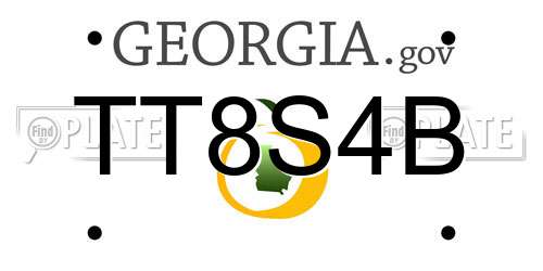 TT8S4B Georgia License Plate