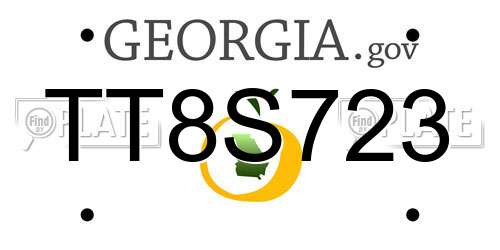 TT8S723 Georgia License Plate
